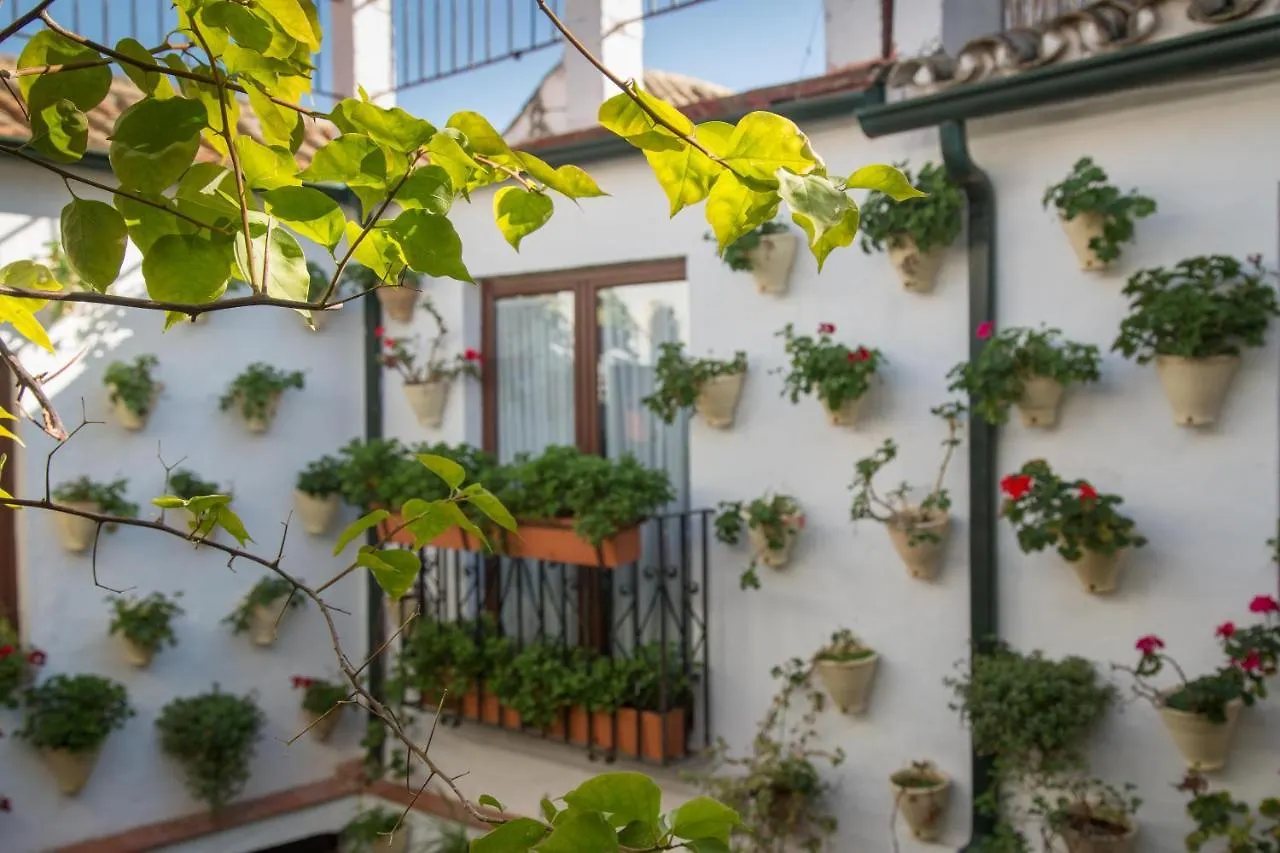 La Sultana Apartamentos Cordoba 0*,