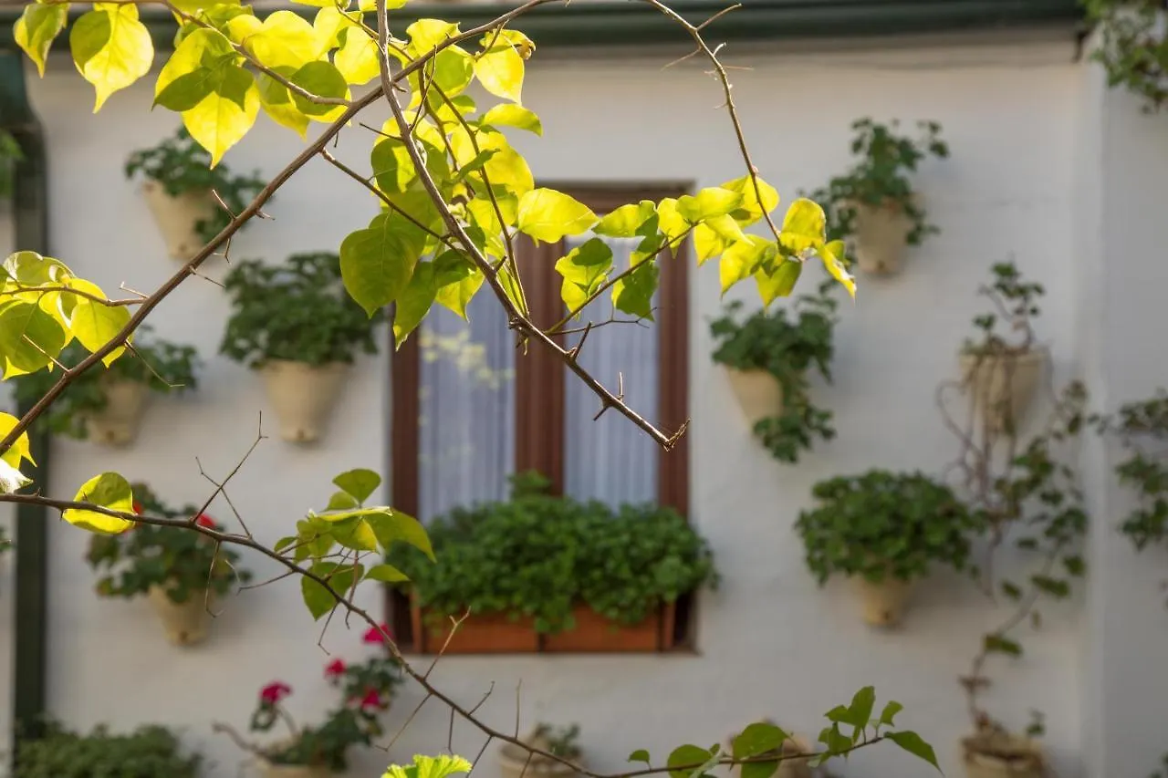 La Sultana Apartamentos Cordoba